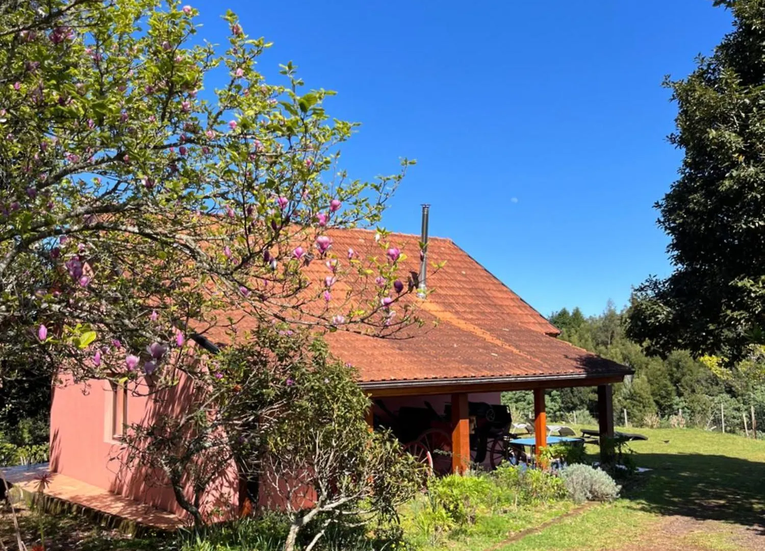 Vila Bio Quinta Do Pantano, Agro Turismo Santo Antonio da Serra Portugalsko