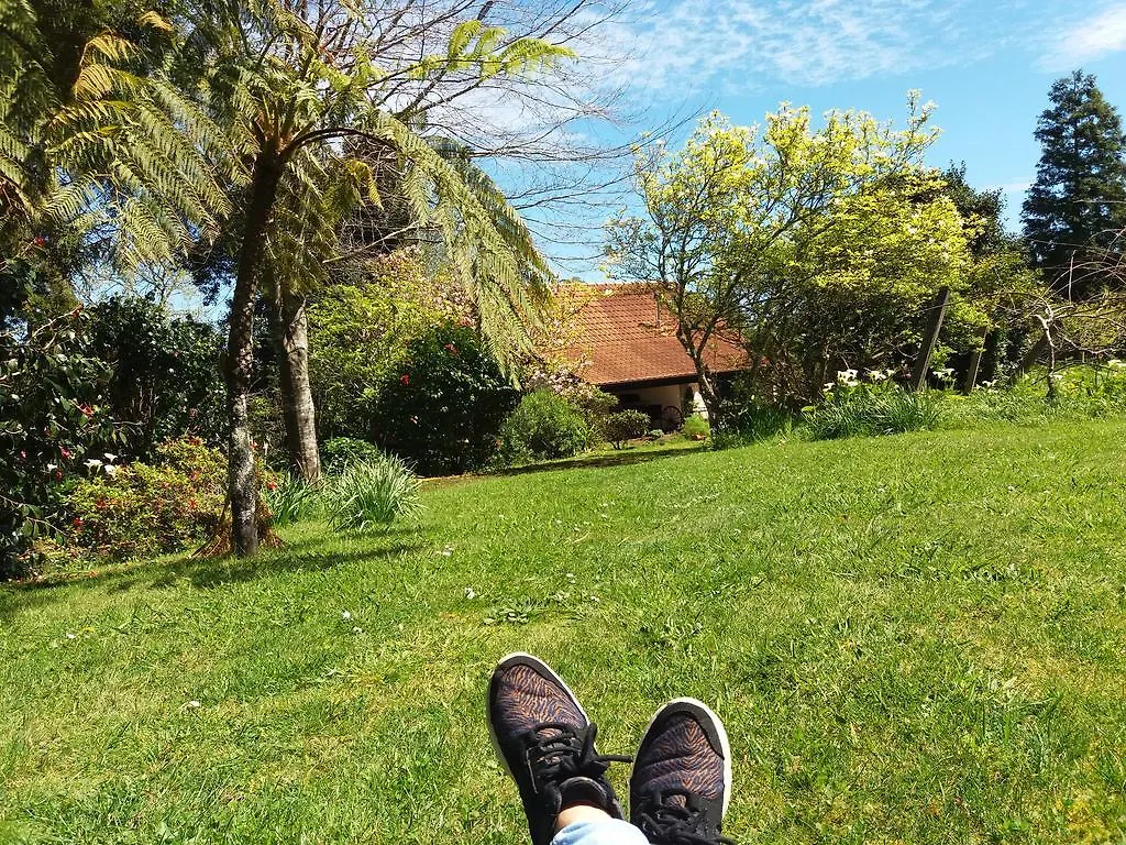 Farm stay Bio Quinta Do Pantano, Agro Turismo Villa Santo Antonio da Serra Portugal