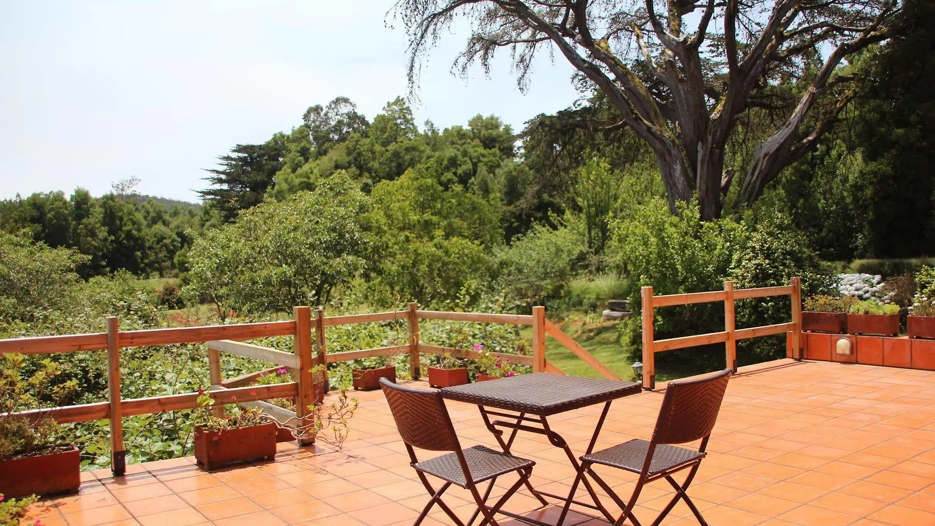 Vila Bio Quinta Do Pantano, Agro Turismo Santo Antonio da Serra Farma